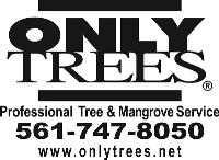 Only Trees image 1